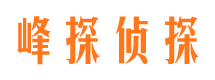 灵宝市私家侦探